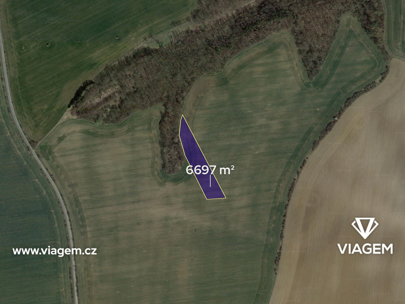 Pole 6 697 m², Podíl 17 % o výměře 1 116 m² – pohled 2