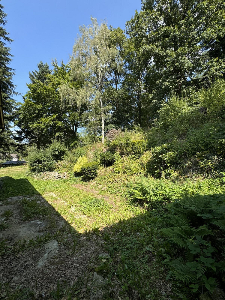 Fotka 14 z 17