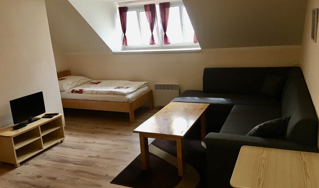 Prodej domu 400 m² s pozemkem 996 m², Český Krumlov – náhled fotky 22