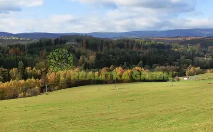 Prodej pole 7 164 m², Konice - Křemenec, okres Prostějov