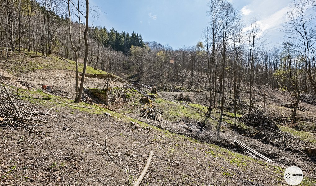 Prodej chaty/chalupy 120 m² s pozemkem 64 360 m², Morávka – náhled fotky 9