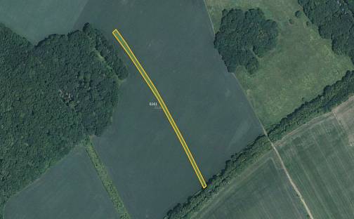 Prodej pole 18 210 m², Hluk, okres Uherské Hradiště