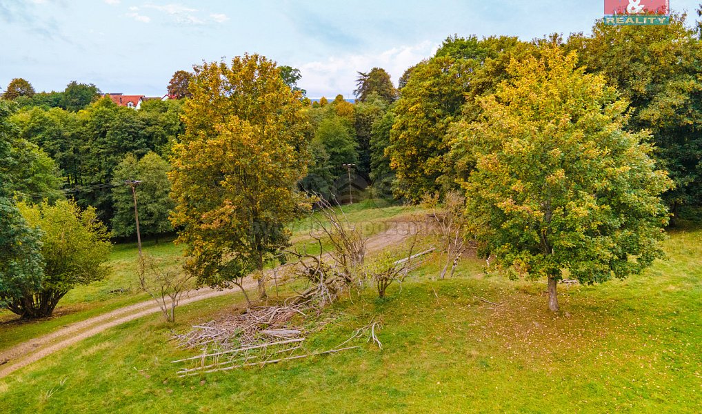 Prodej pozemku 1 899 m², Luby – náhled fotky 4