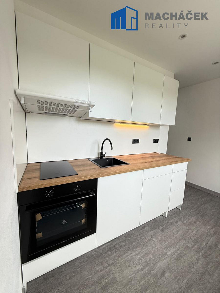 Pronájem bytu, 2+1+L, 54,51 m², Bílina, Sídl. U Nového nádraží