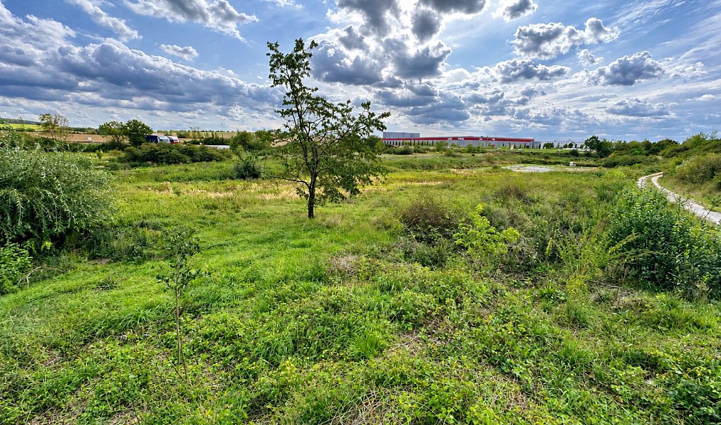 Prodej louky 1 902 m², Dobřany – náhled fotky 5