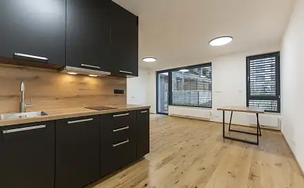 Pronájem bytu 1+kk 50 m²