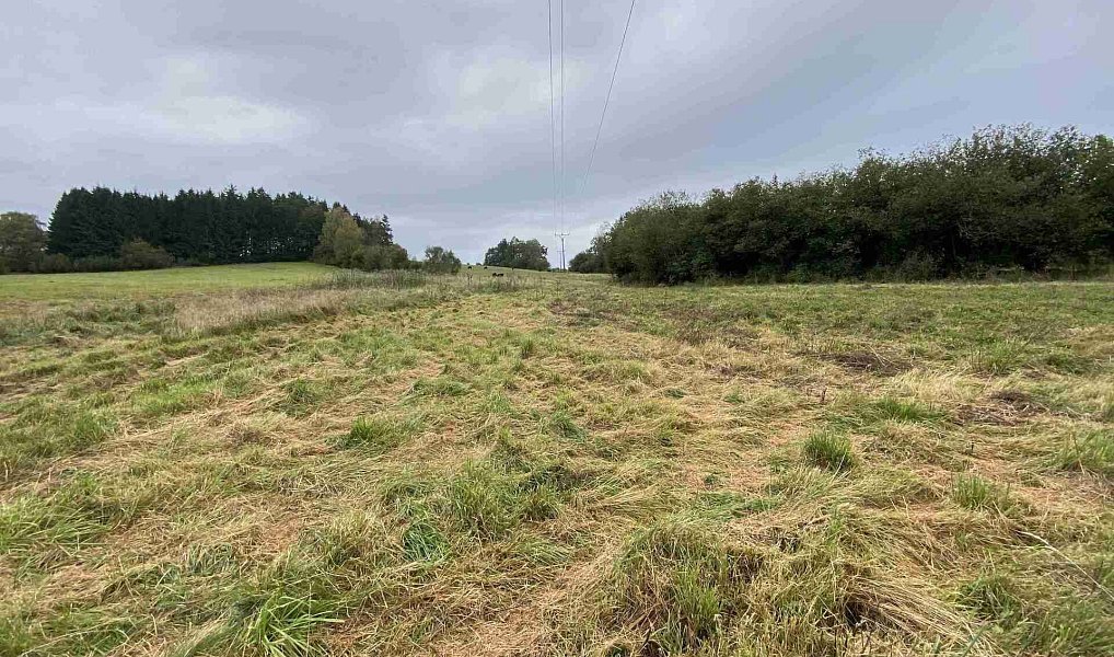 Prodej pozemku 11 798 m², Nová Bystřice – náhled fotky 3