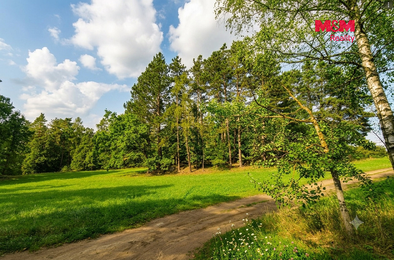 Prodej lesa 7 042 m² — photo 2
