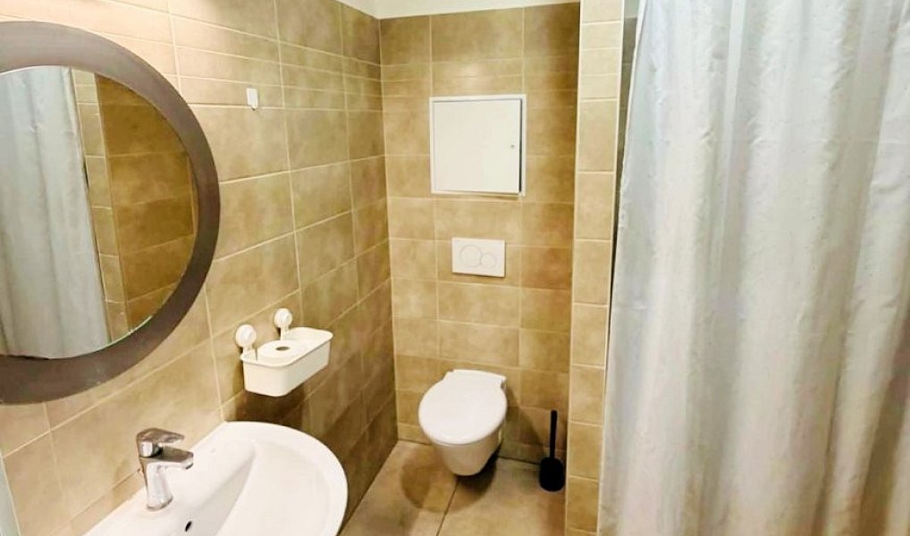 Prodej bytu 2+1 48 m², Plzeň – náhled fotky 6