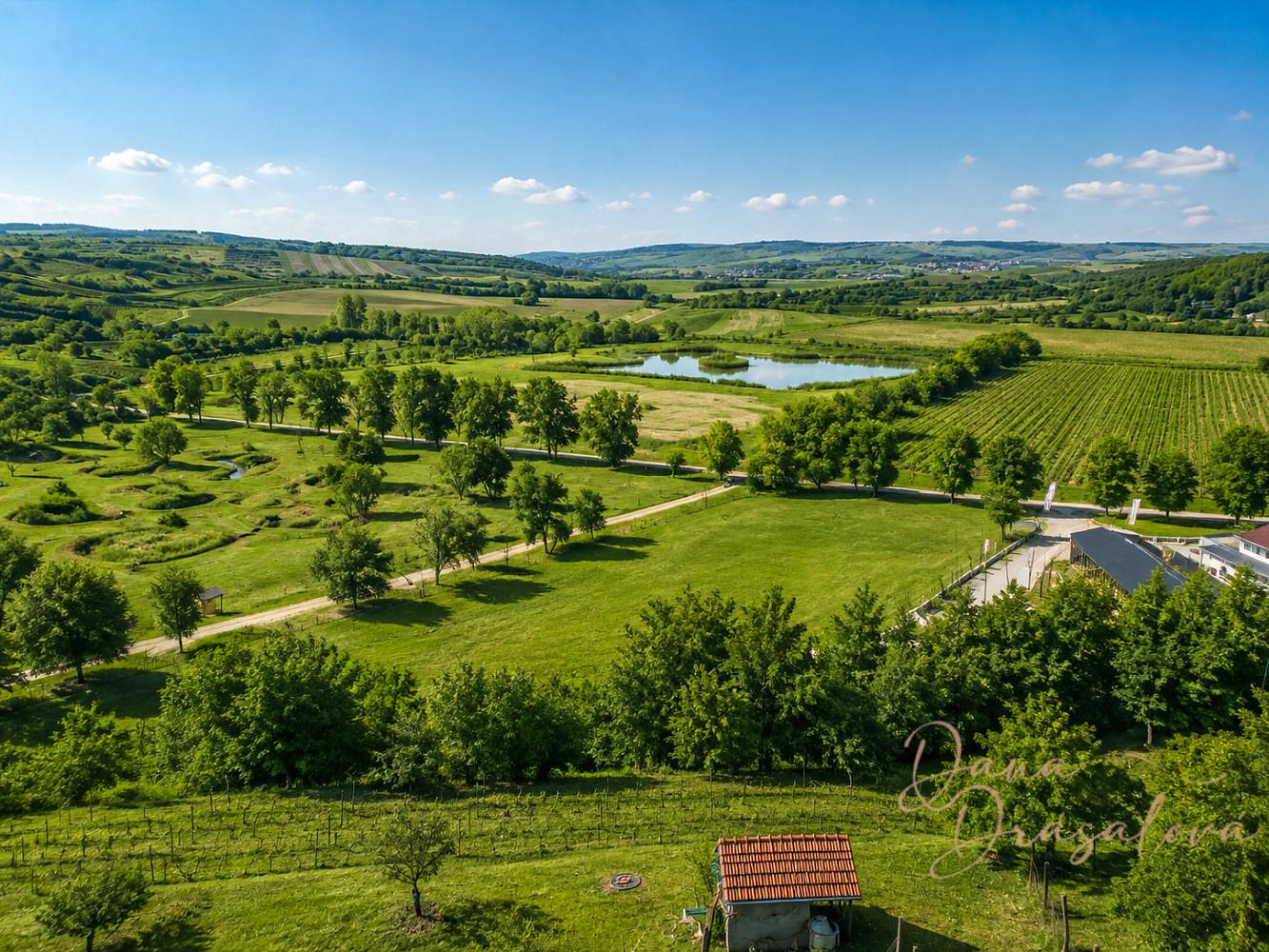 Prodej komerčního pozemku 7 238 m² – fotografie 2