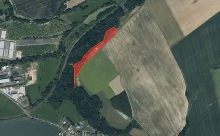 Prodej louky 9 077 m², Zahořany - Bořice, okres Domažlice