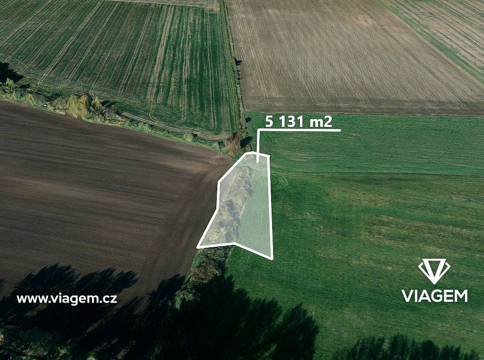 Prodej pole 1 282 m²