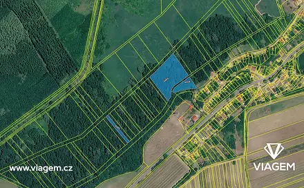 Prodej lesa 3 867 m², Brod nad Dyjí, okres Břeclav