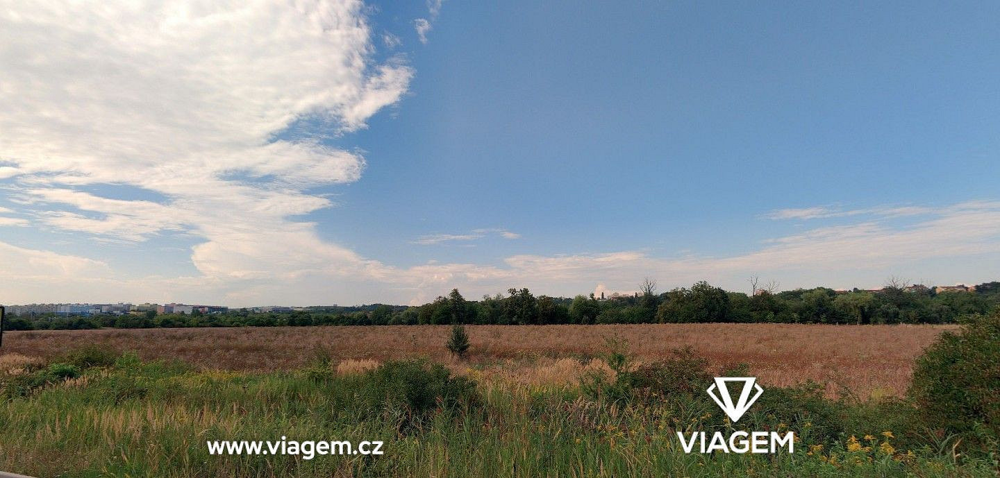 Prodej pole 4 143 m² – fotografie 3