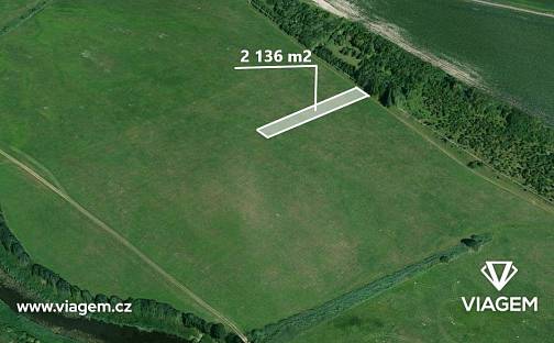 Prodej lesa 2 136 m², Žiželice, okres Kolín