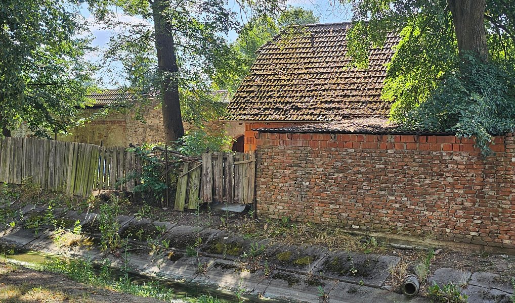 Prodej domu 198 m² s pozemkem 929 m², Drhovle – náhled fotky 4