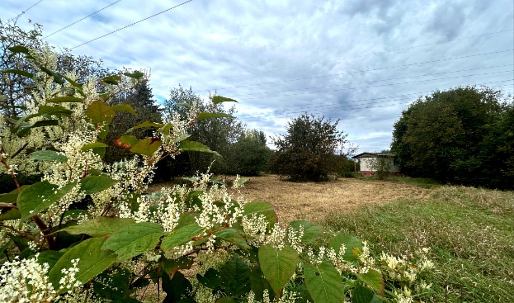 Prodej zahrady 1 611 m², Hodonín – náhled fotky 7