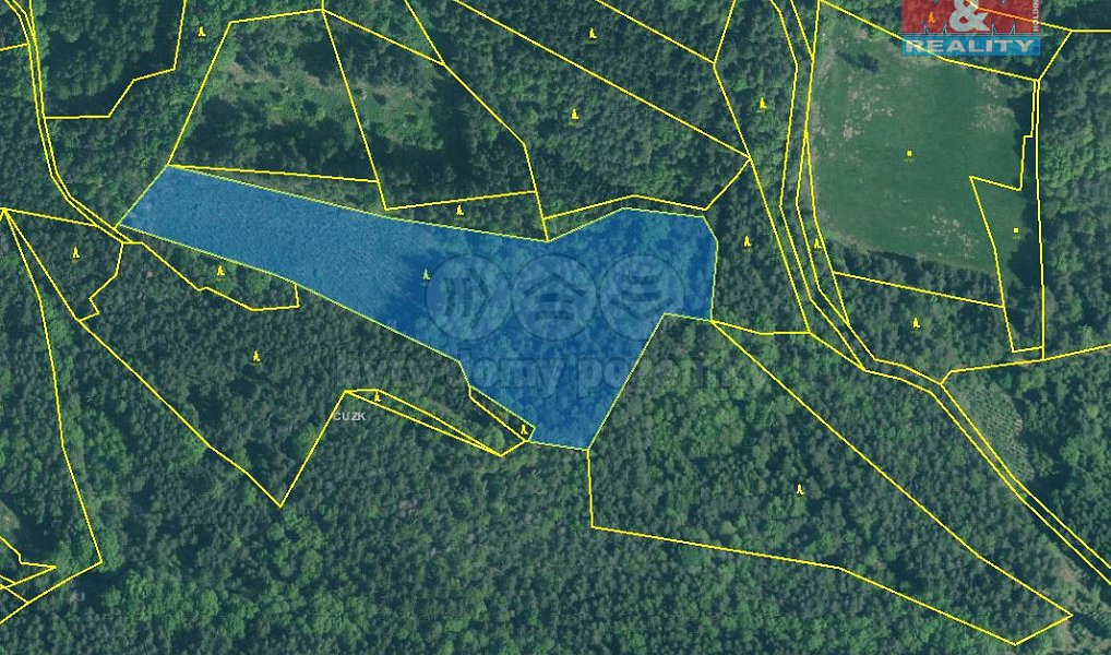 Prodej lesa 18 400 m², Putim – náhled fotky 2