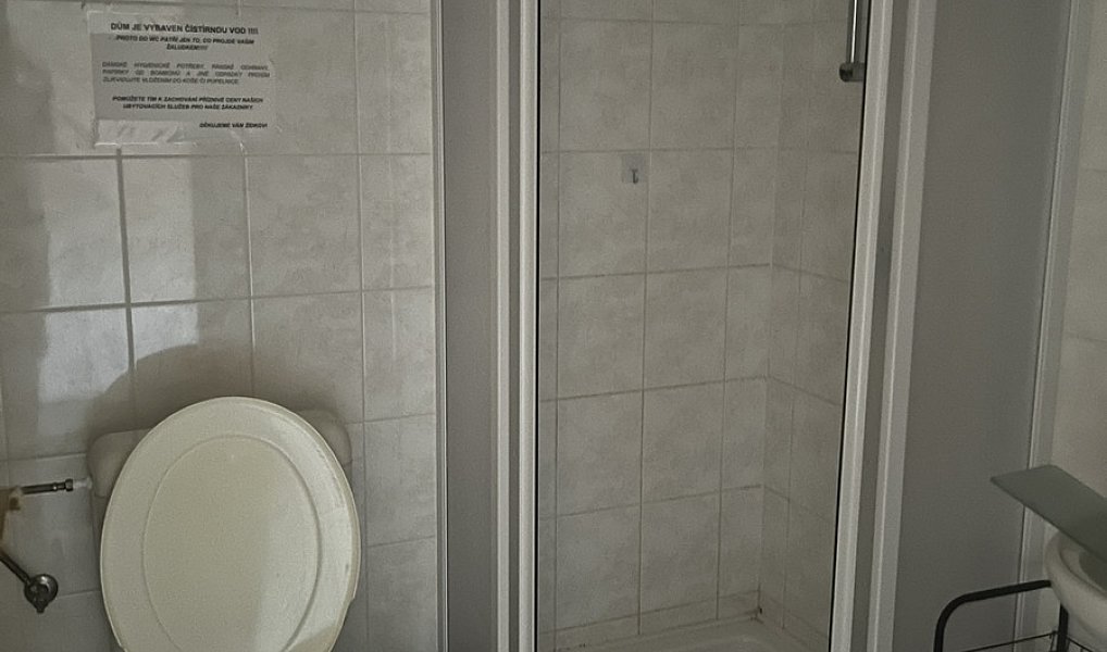 Prodej domu 160 m² s pozemkem 4 055 m², Podhradní Lhota – náhled fotky 34