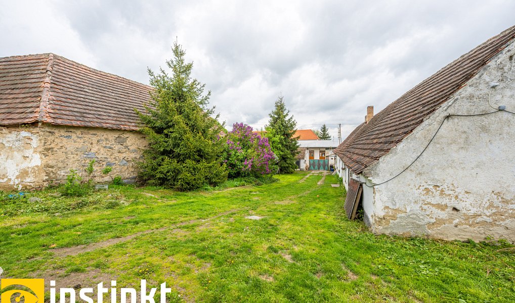 Prodej domu 192 m² s pozemkem 3 008 m², Předotice – náhled fotky 13