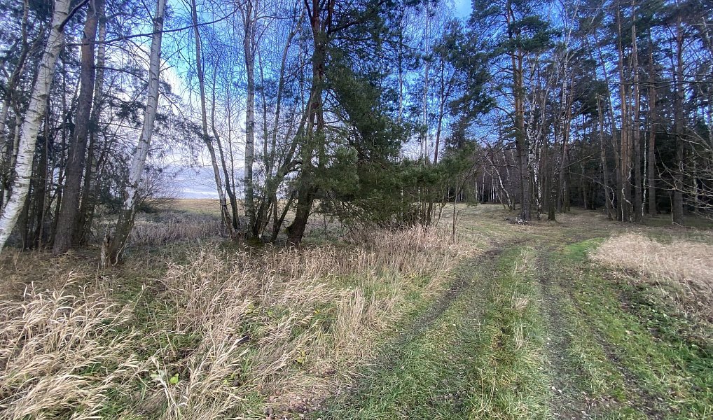 Prodej pozemku 11 526 m², Kaplice – náhled fotky 7