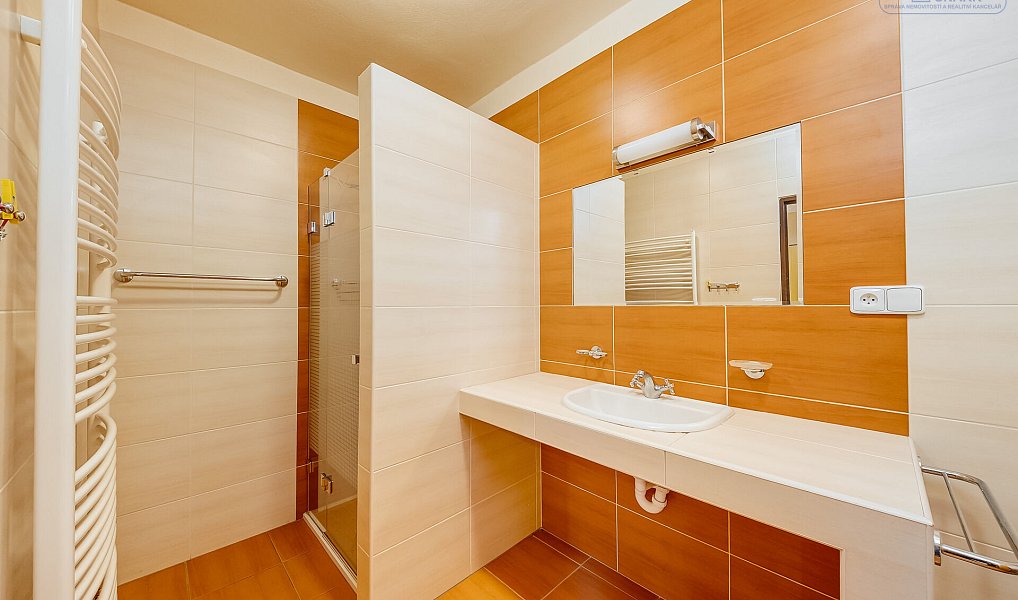 Prodej domu 268 m² s pozemkem 580 m², Dobříš – náhled fotky 9