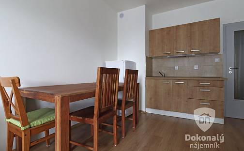 Pronájem bytu 1+kk 33 m², K Zelené louce, Plzeň - Valcha