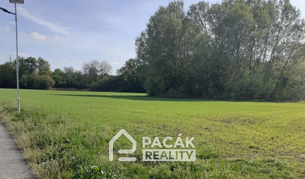 Prodej pole 15 995 m², Kožušany-Tážaly – náhled fotky 3
