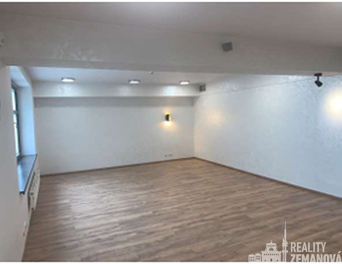 Pronájem komerčního objektu (jiného typu) 360 m² – fotografie 3