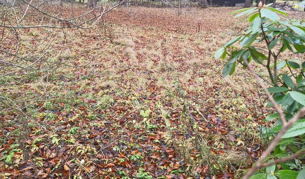 Prodej stavebního pozemku 831 m², Karlova Studánka – náhled fotky 4