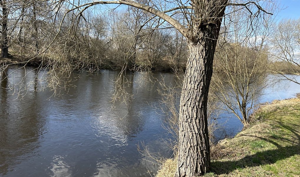 Pronájem zahrady 424 m², České Budějovice – náhled fotky 4