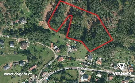 Prodej lesa 6 349 m², Náchod
