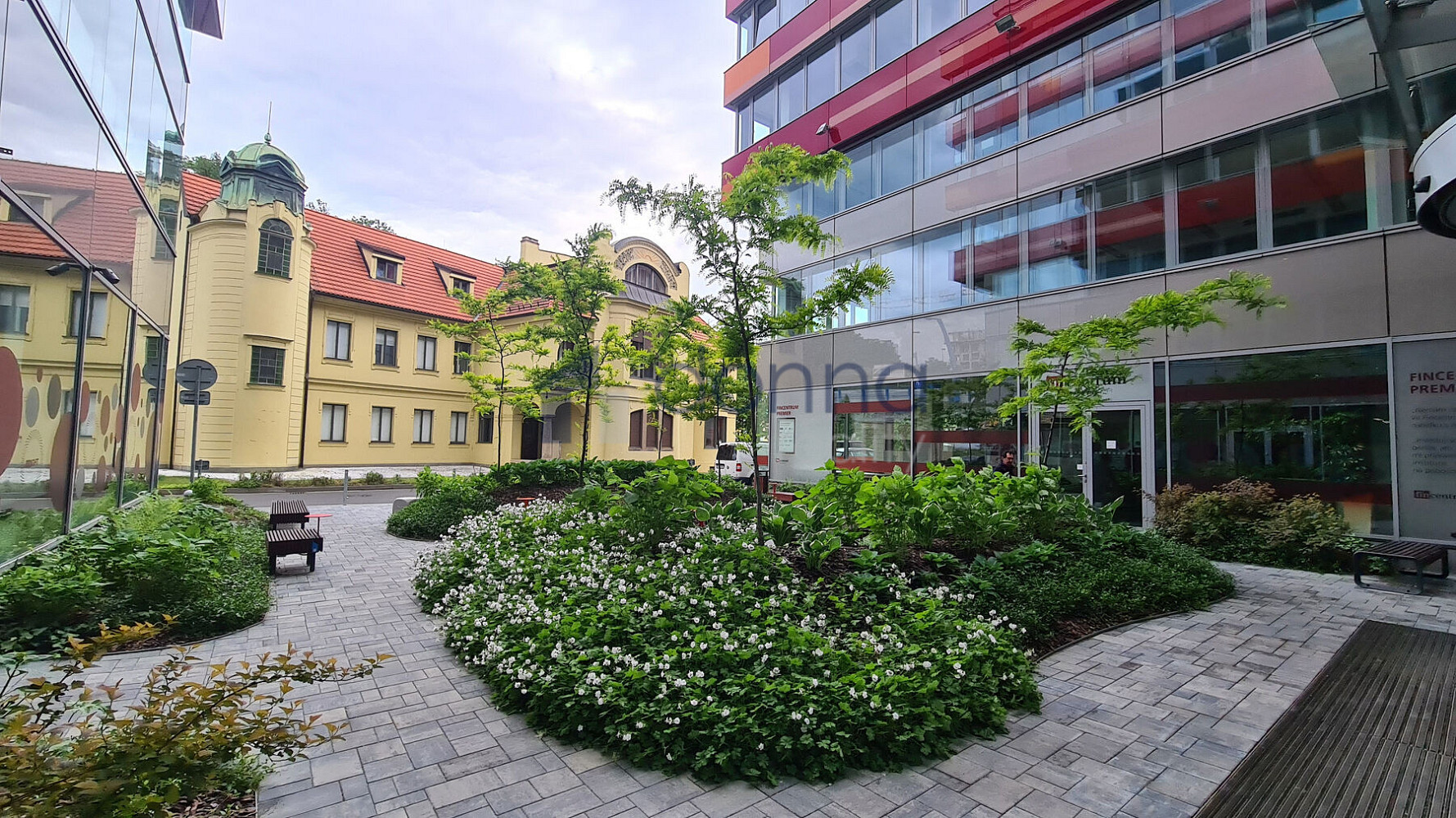 Pronájem obchodních prostor 194 m²