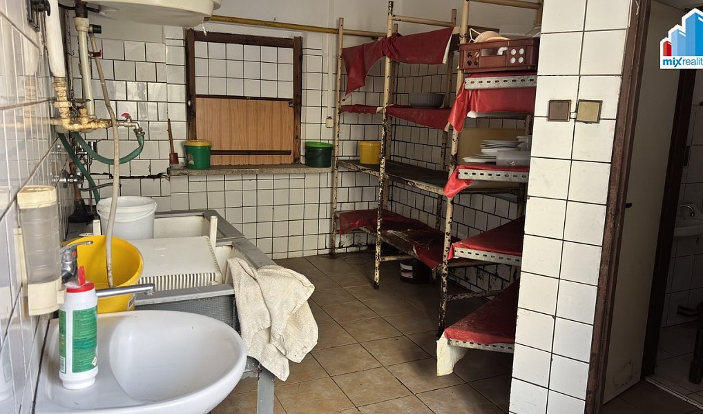 Prodej komerčního objektu (jiného typu) 600 m², Kralovice – náhled fotky 22