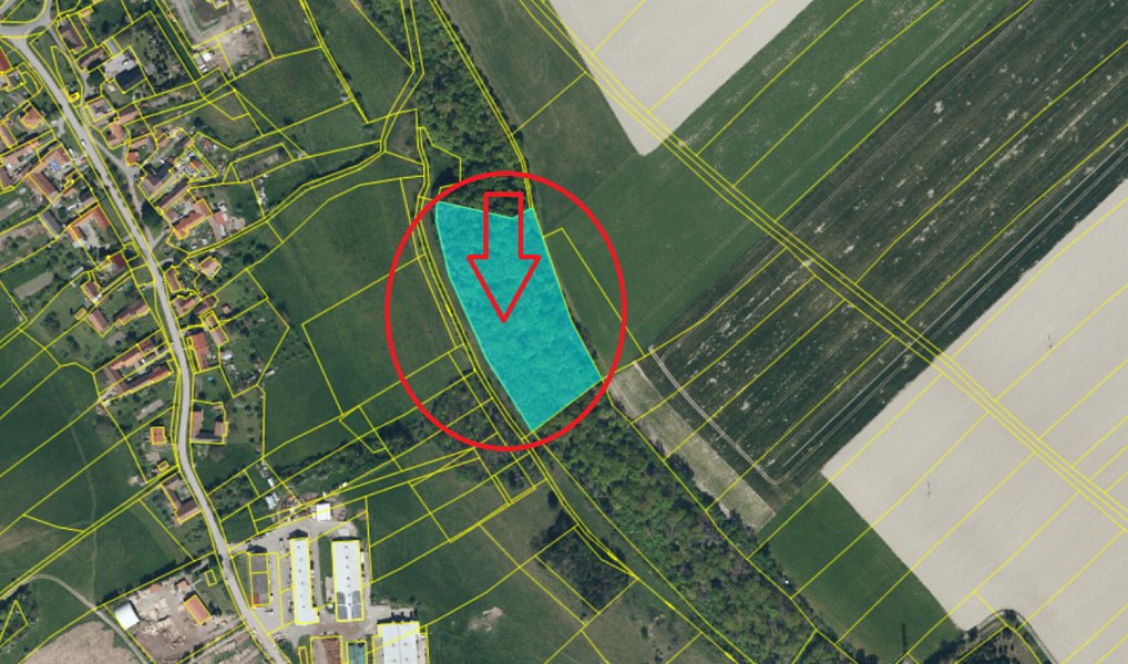 Prodej lesa 4 901 m², Střemošice – náhled fotky 2