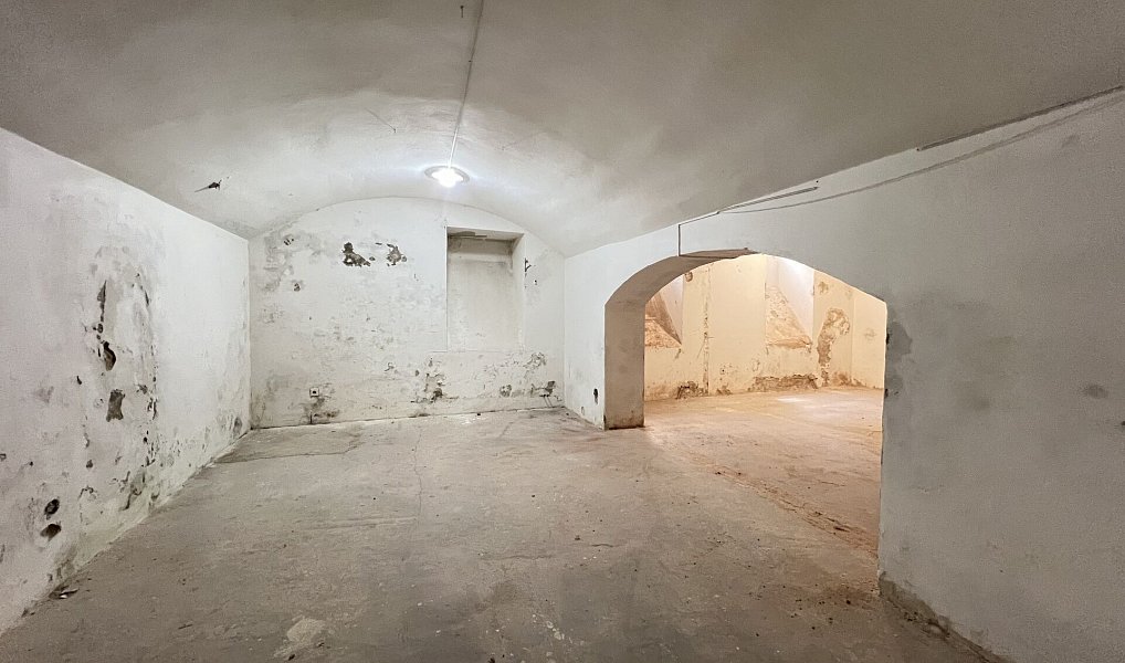 Prodej komerčního objektu (jiného typu) 235 m², Praha – náhled fotky 13