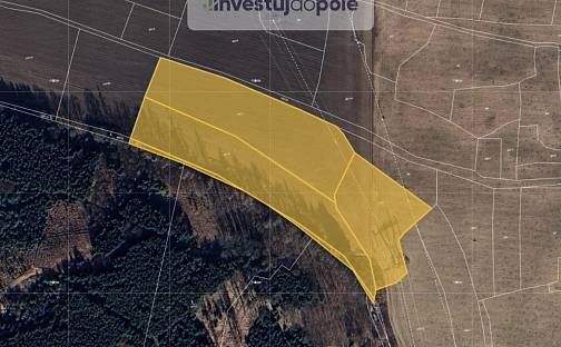 Prodej pole 8 545 m², Blovice, okres Plzeň-Jih