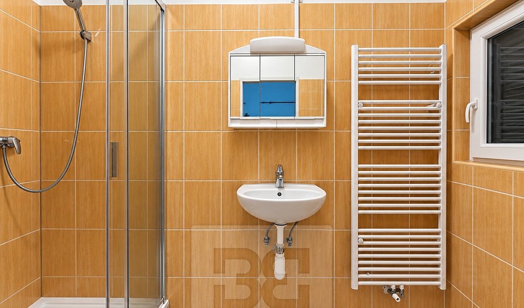 Pronájem bytu 2+1 45 m², Děčín – náhled fotky 8