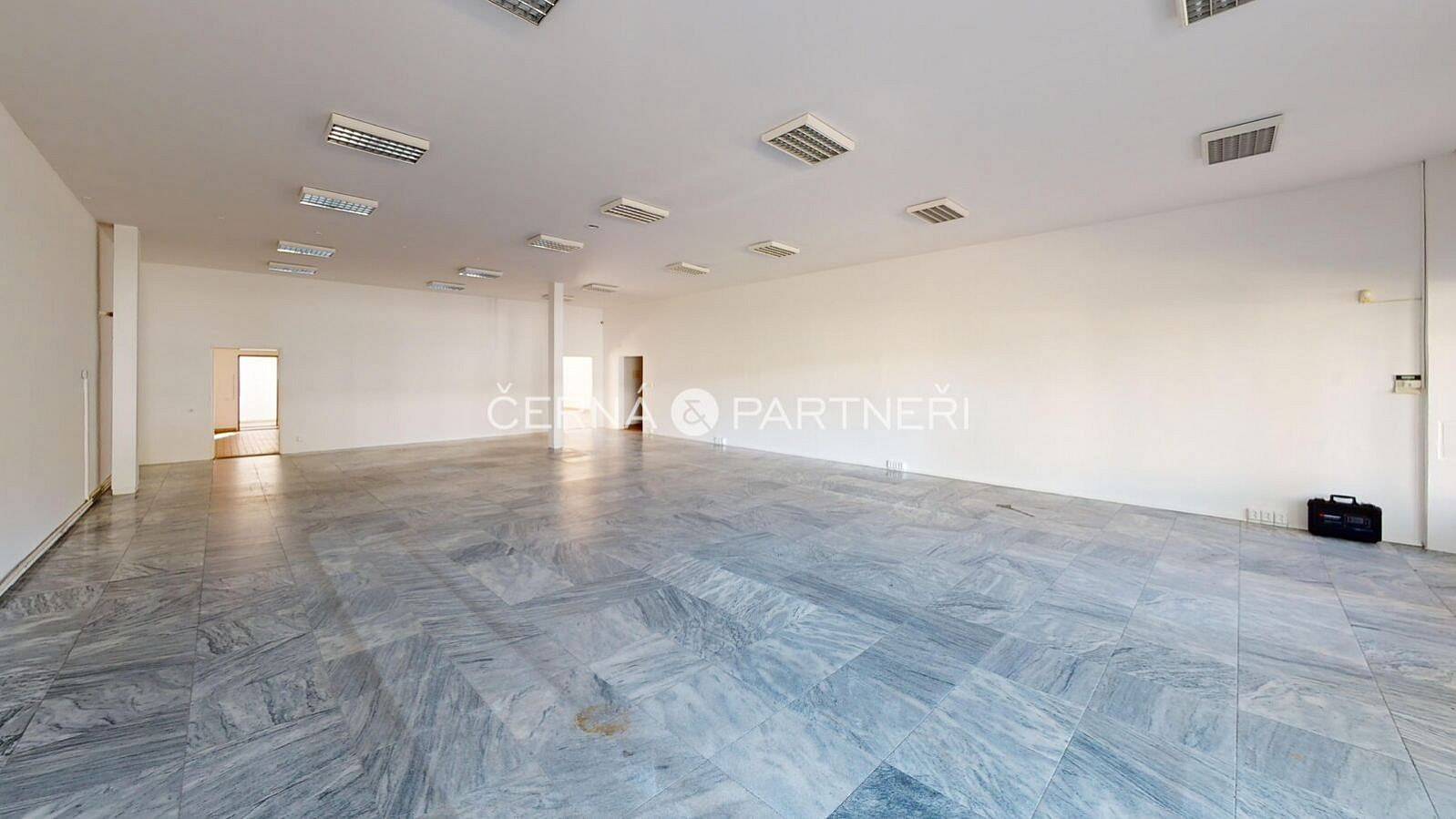 Pronájem obchodních prostor 319 m² — photo 2