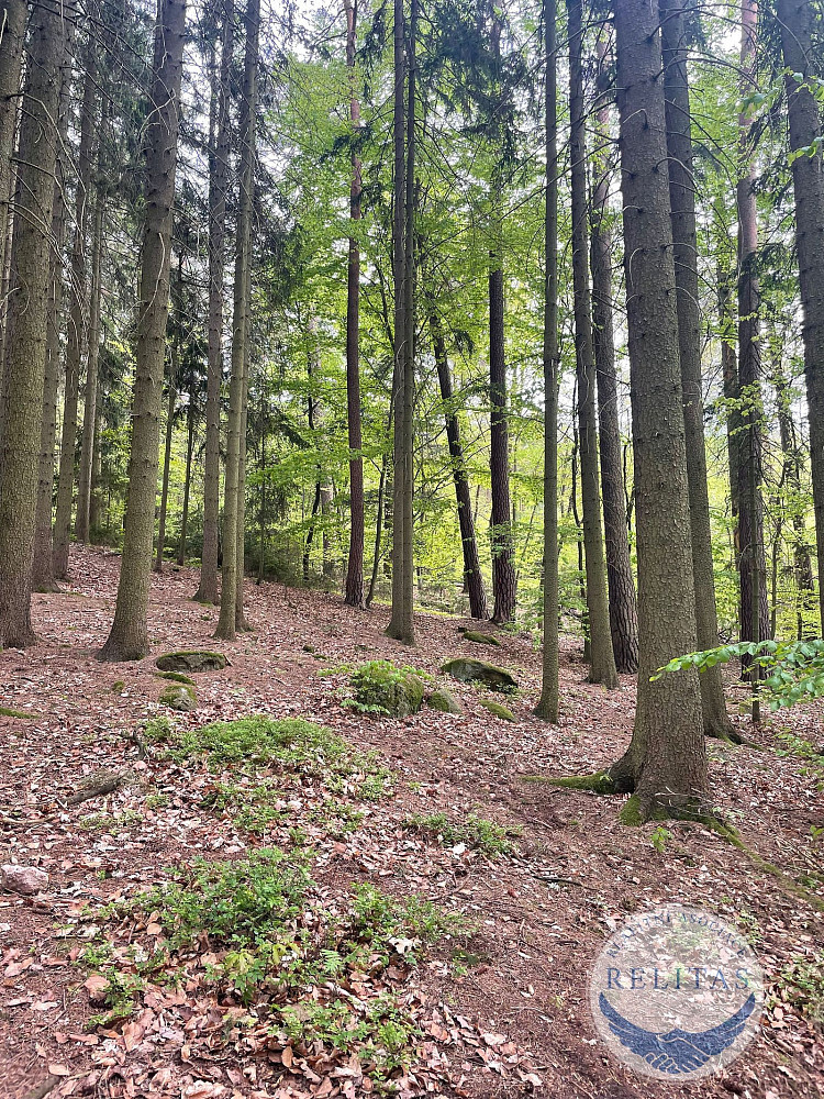 Prodej lesa 7 759 m²