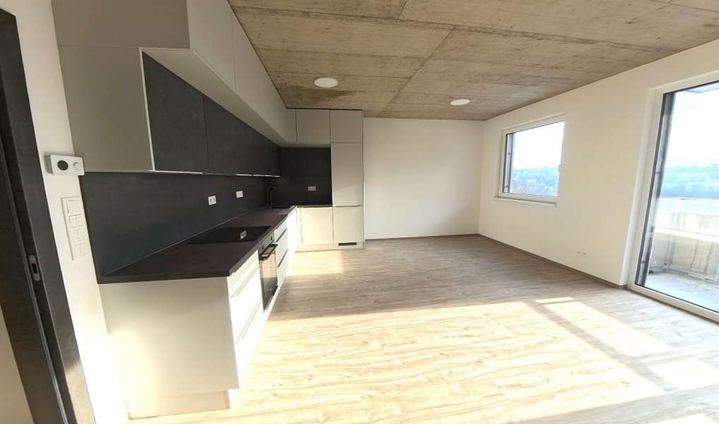 Pronájem bytu 3+kk 75 m², Liberec – náhled fotky 3