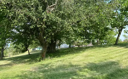 Prodej stavebního pozemku 3 359 m², Petrovice, okres Rakovník