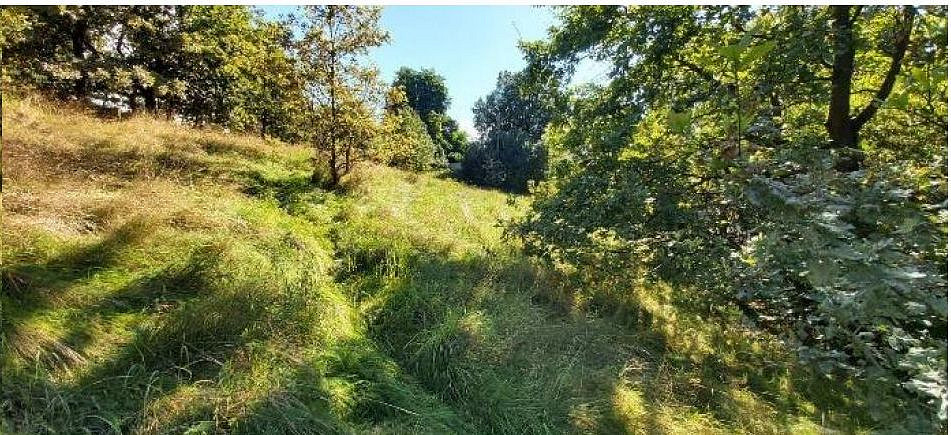 Prodej stavebního pozemku 3 577 m² — photo 3