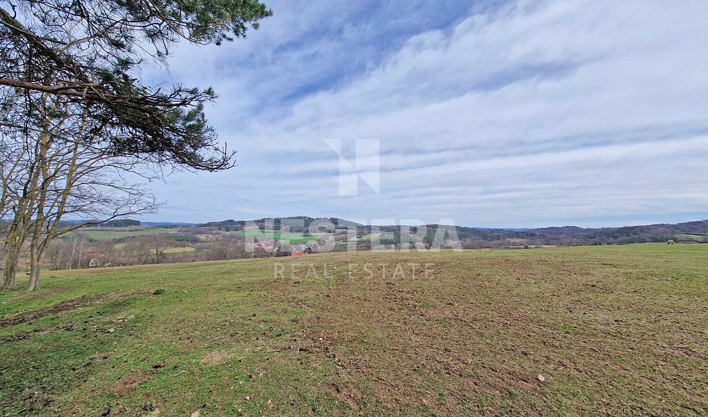 Prodej stavebního pozemku 49 574 m², Nechvalice – náhled fotky 5