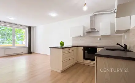 Pronájem bytu 1+kk 44 m², Tyršova, Benešov