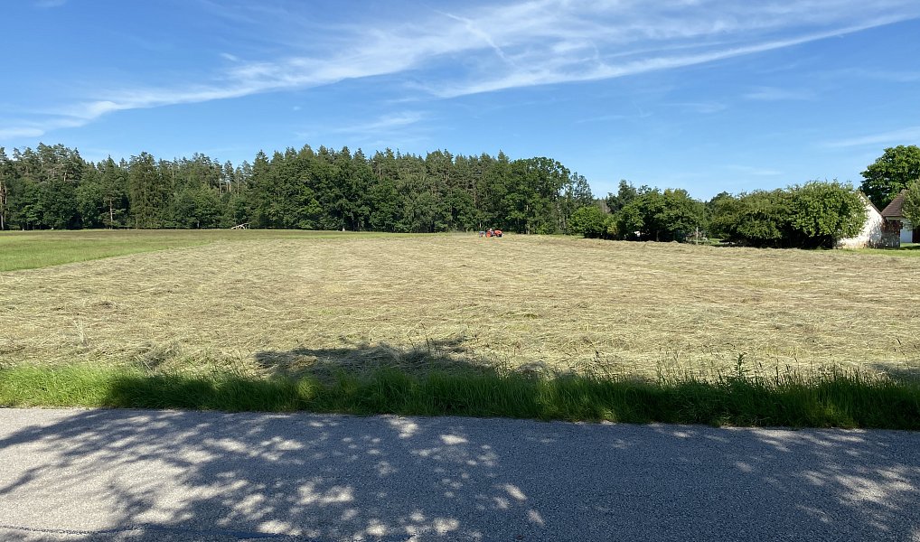 Prodej komerčního objektu (jiného typu) 28 792 m², Pluhův Žďár – náhled fotky 9