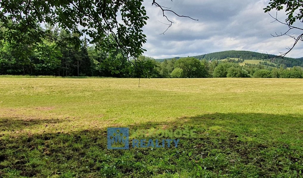 Prodej pozemku 4 617 m², Černý Důl – fotka 1 z 7