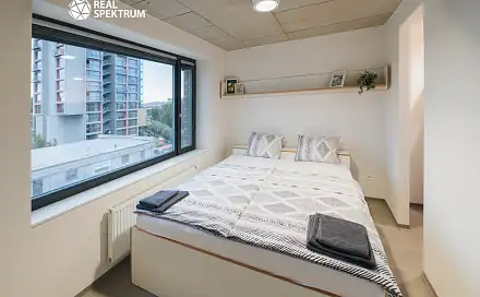 Pronájem bytu 1+kk 24 m², Dornych, Brno - Trnitá