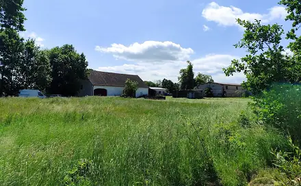 Prodej stavebního pozemku 1 176 m², Borovany - Třebeč, okres České Budějovice