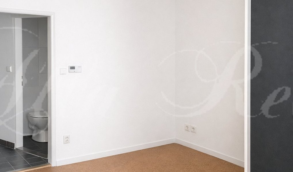 Pronájem bytu 1+1 35 m², Brno – náhled fotky 3